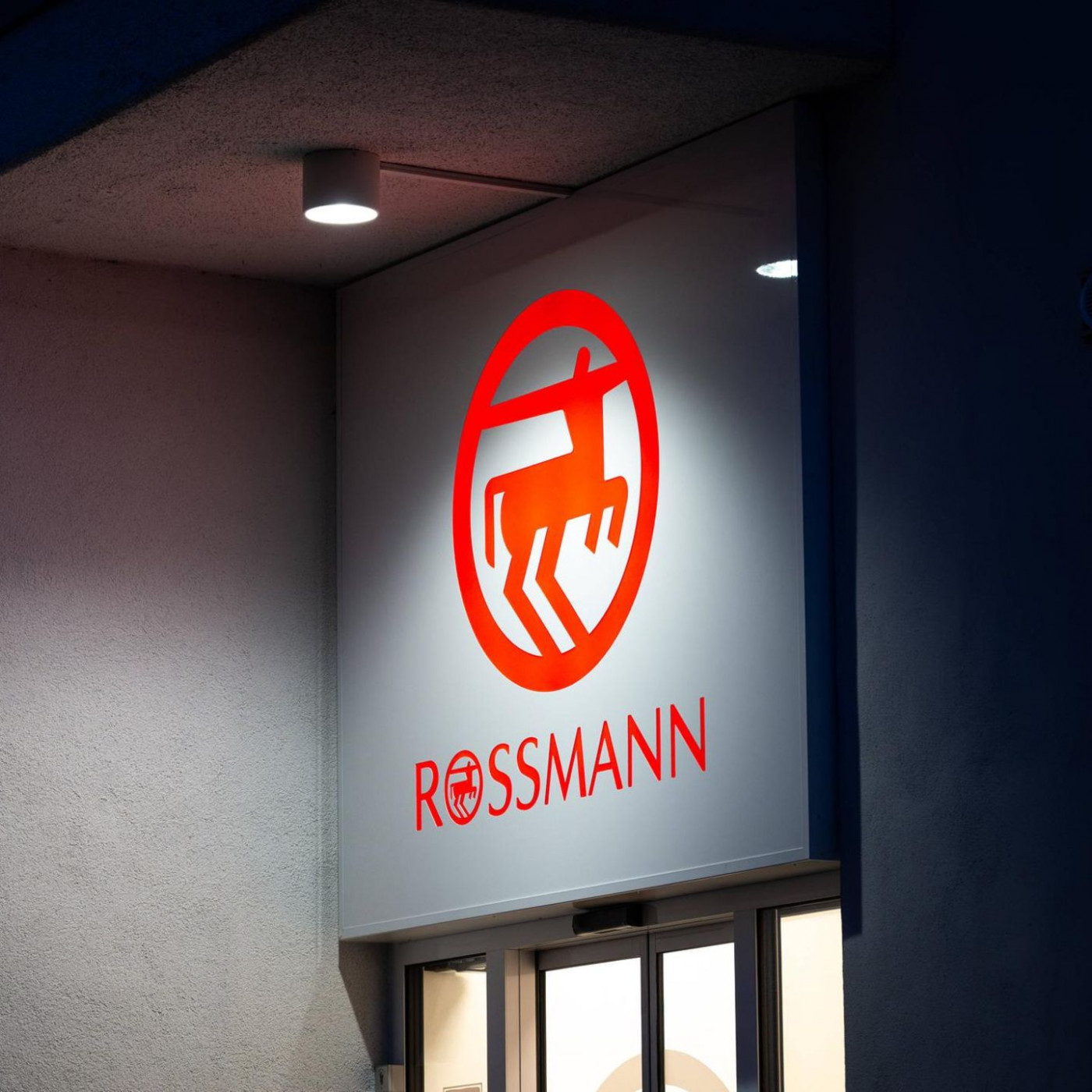 Rossmann-Chef springt in AfD-Streit dm-Chef zur Seite