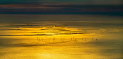 Vom Hürdenlauf einer Branche