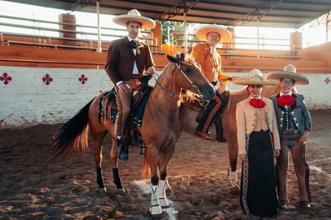 Kai Pflaumes ungewöhnlicher Antrag an Knossi