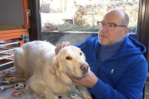 Hundetrainer erkl&auml;rt: So kommen Haustiere stressfrei &uuml;ber Silvester