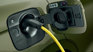 Elektroauto-Markt: Skoda verdoppelt &ndash; Tesla halbiert