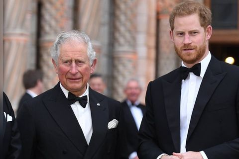 Stehen sie bald zusammen auf einer B&uuml;hne?