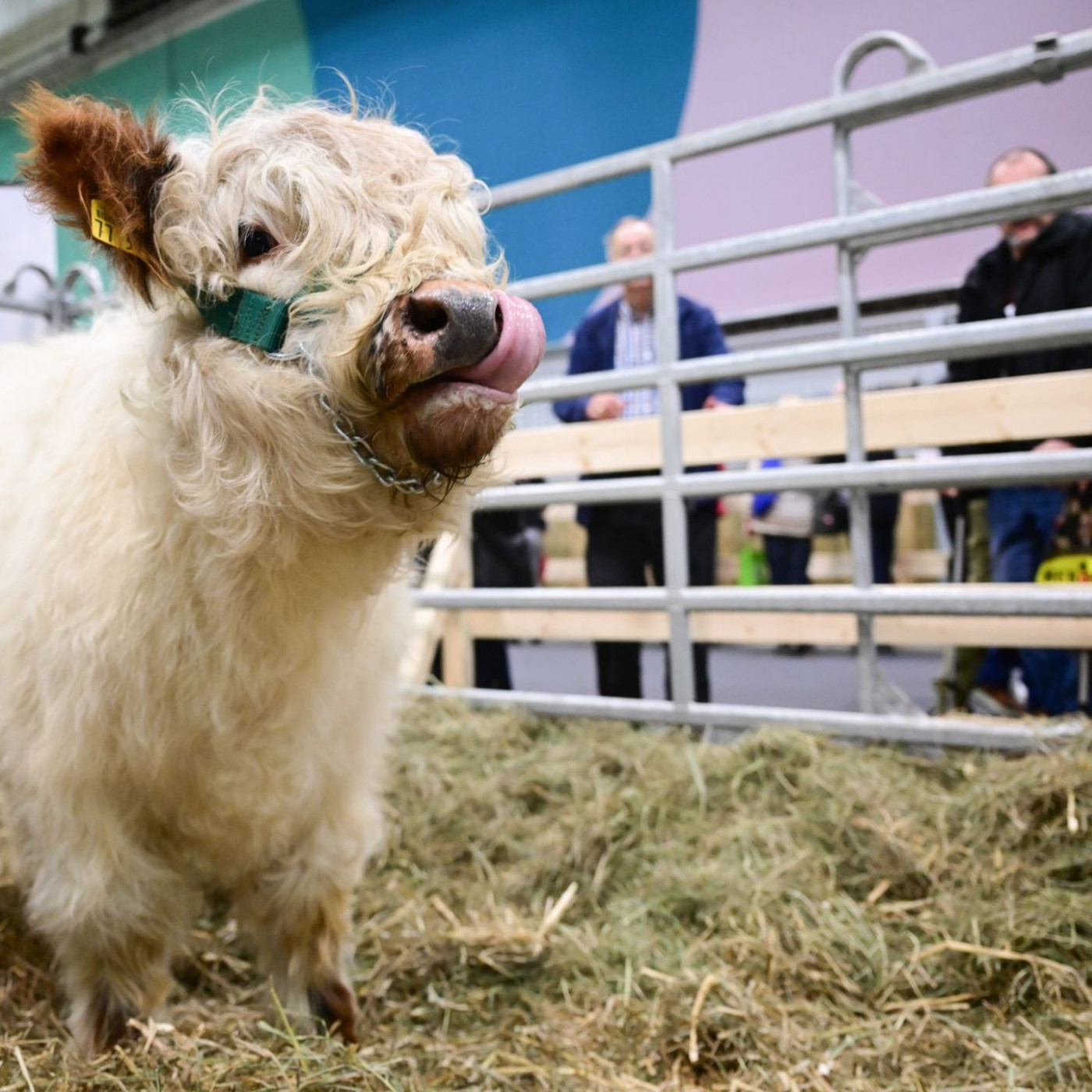 Gr&uuml;ne Woche gestartet - Sichere Ern&auml;hrung im Blick