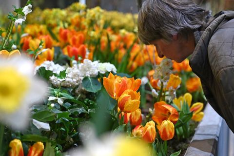350.000 Besucher auf der Gr&uuml;nen Woche - Messechef zufrieden