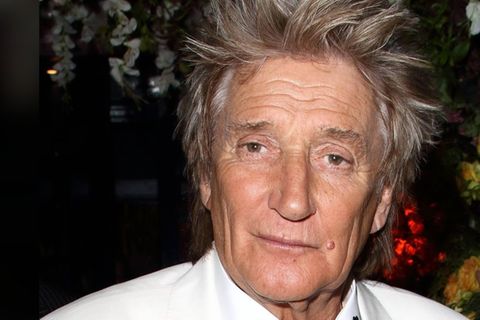 Musiker attackiert Trump in stilvollem Video