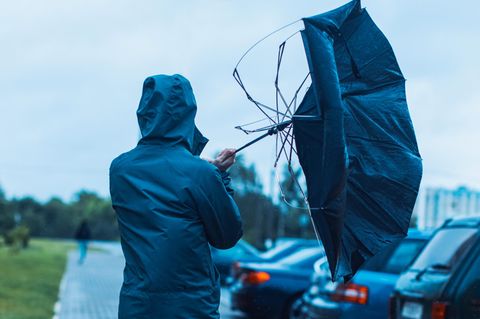 Das sollten Sie &uuml;ber Transfergesellschaften wissen