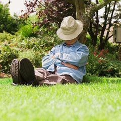 Wie viel Rente bekommt man, wenn man nie gearbeitet hat?