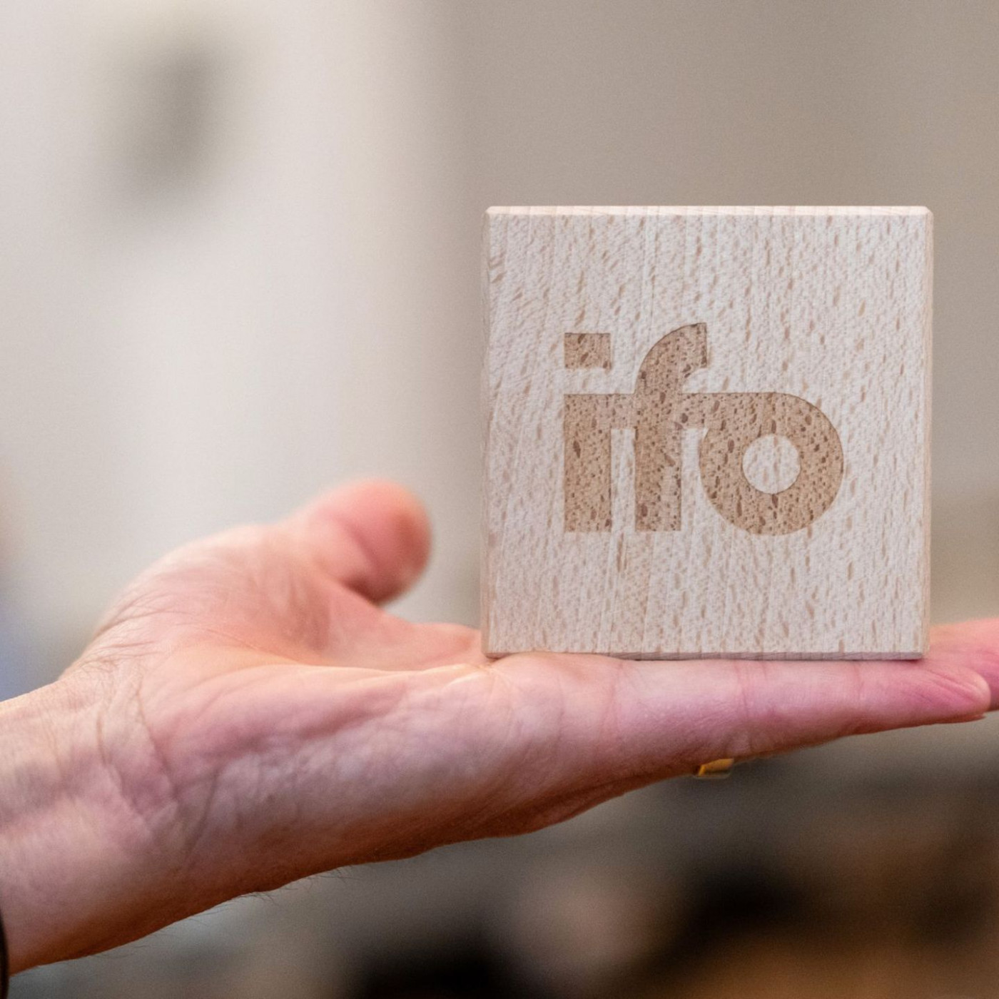 Ifo-Umfrage unter 6300 Firmen: Note vier f&uuml;r Bundesregierung