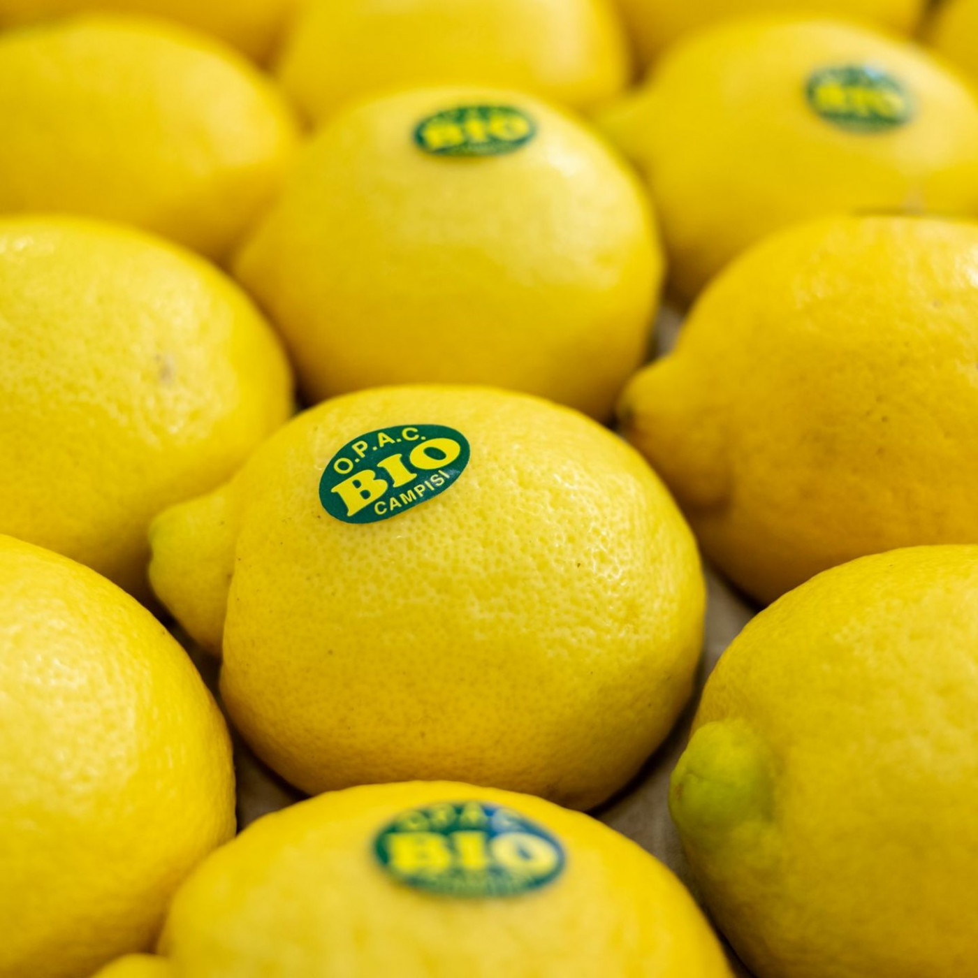 Nachfrage nach Bioprodukten boomt - Anbau kommt nicht nach