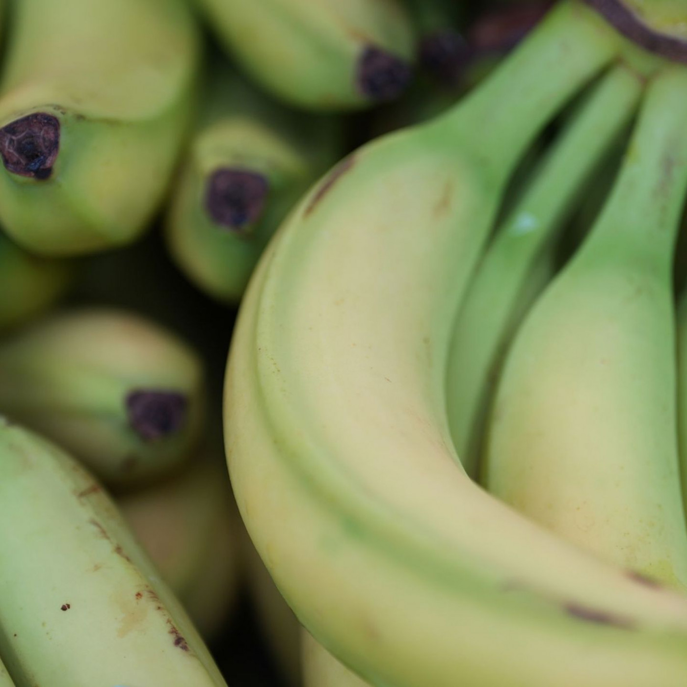 Inflation steigt zu Jahresbeginn auf 2,1 Prozent