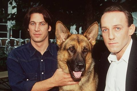 Deutliche Absage an "Kommissar Rex"-Comeback