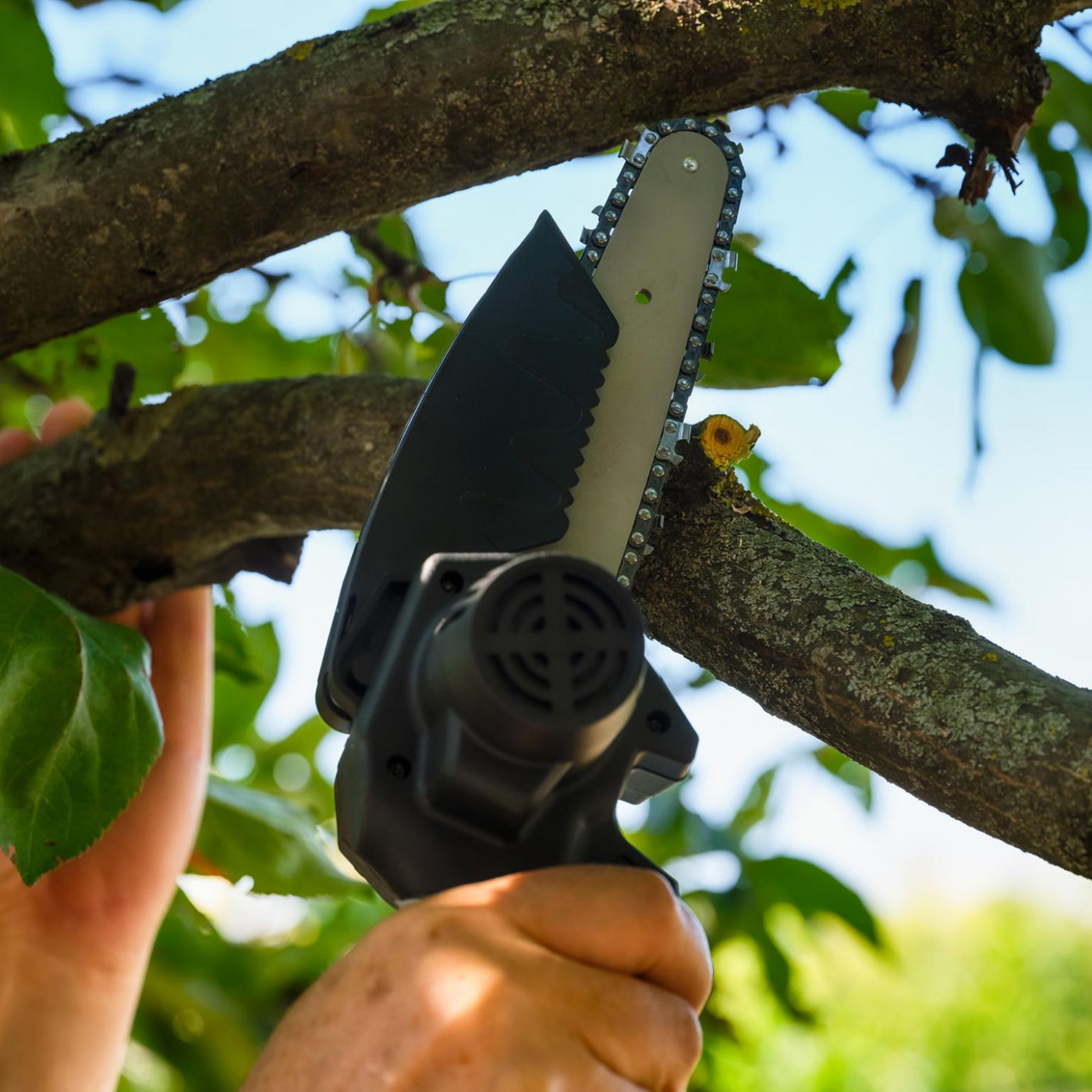 Stark reduziert: Bosch Mini-Kettens&auml;ge heute f&uuml;r 100 Euro statt 150 Euro