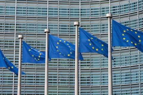 Gef&auml;lschte Labubus und Co. &ndash; mehr Produktwarnungen in der EU