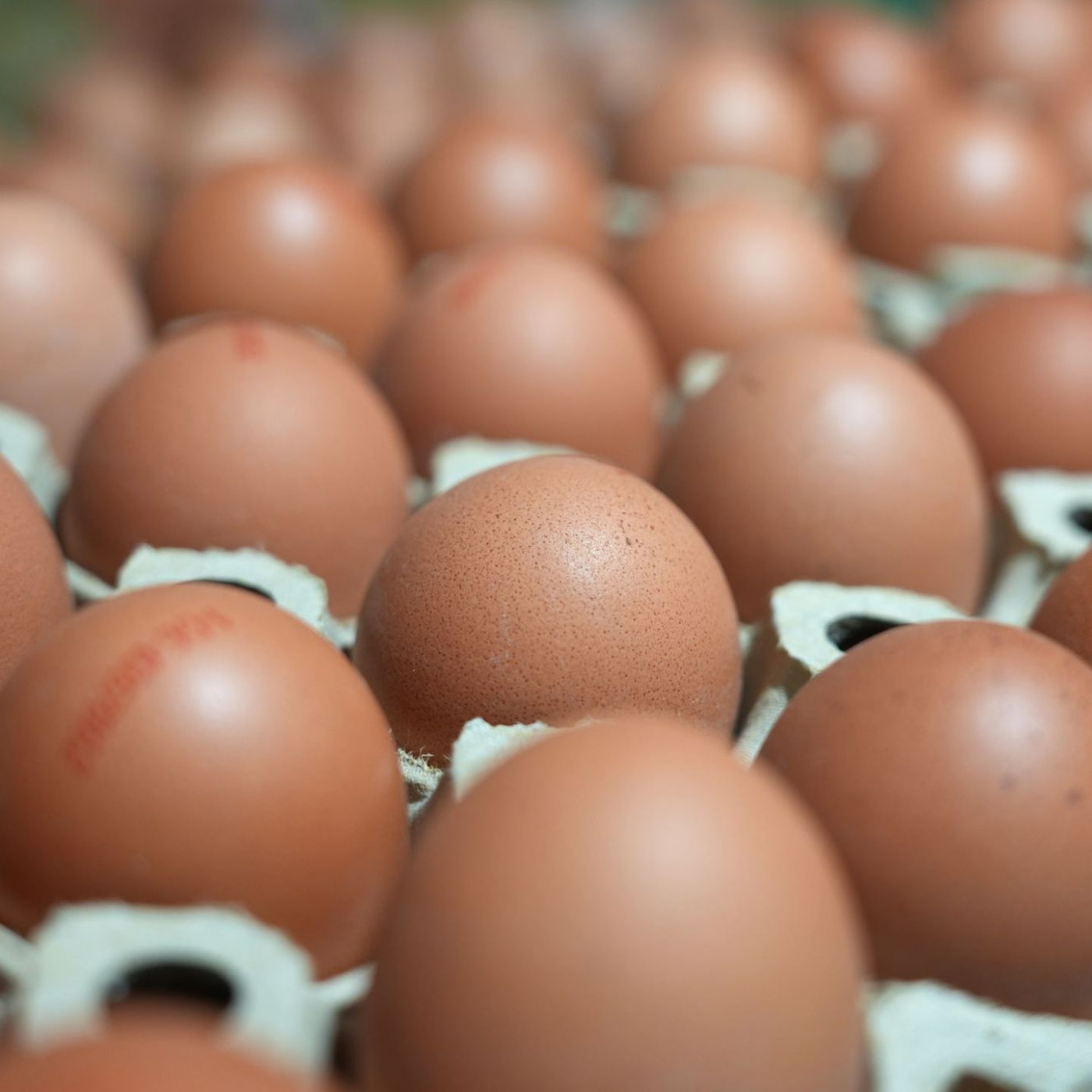 Eierverbrauch steigt weiter - 252 pro Kopf im Jahr