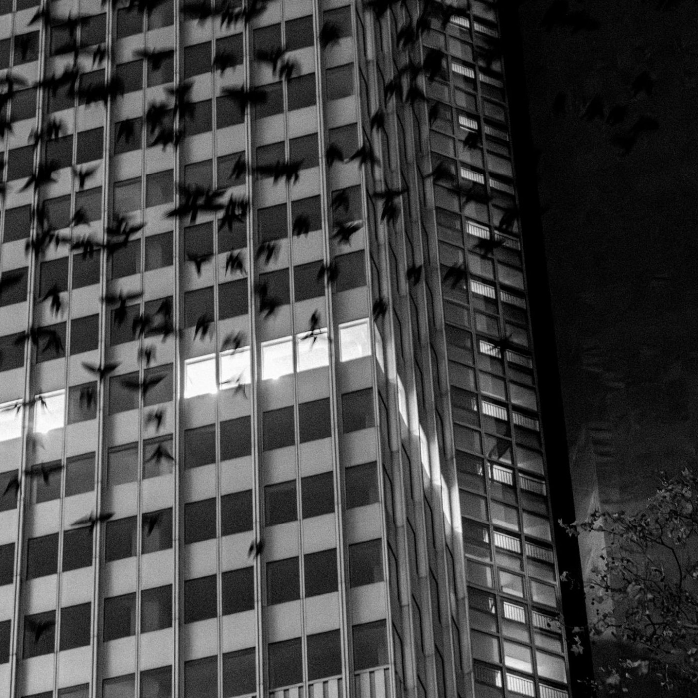 Hier ist schon wieder etwas faul