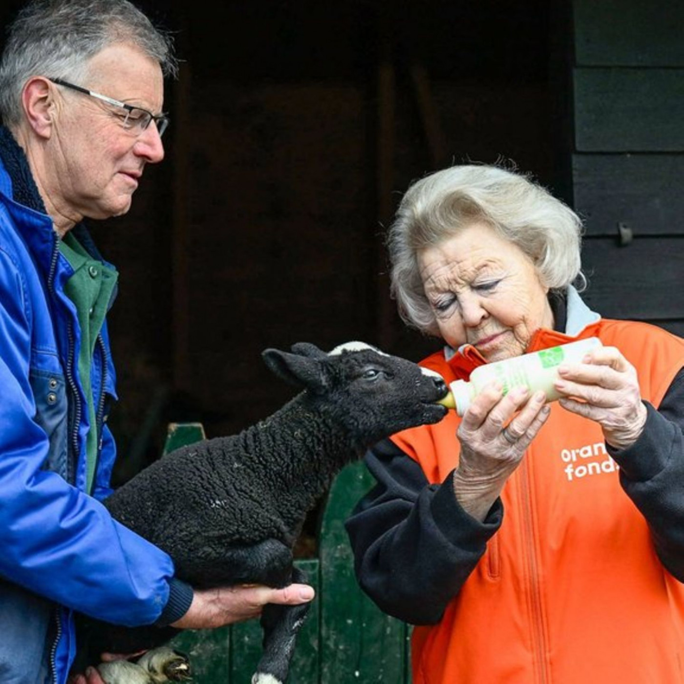 Sie gl&auml;nzt als Helferin auf dem Bauernhof