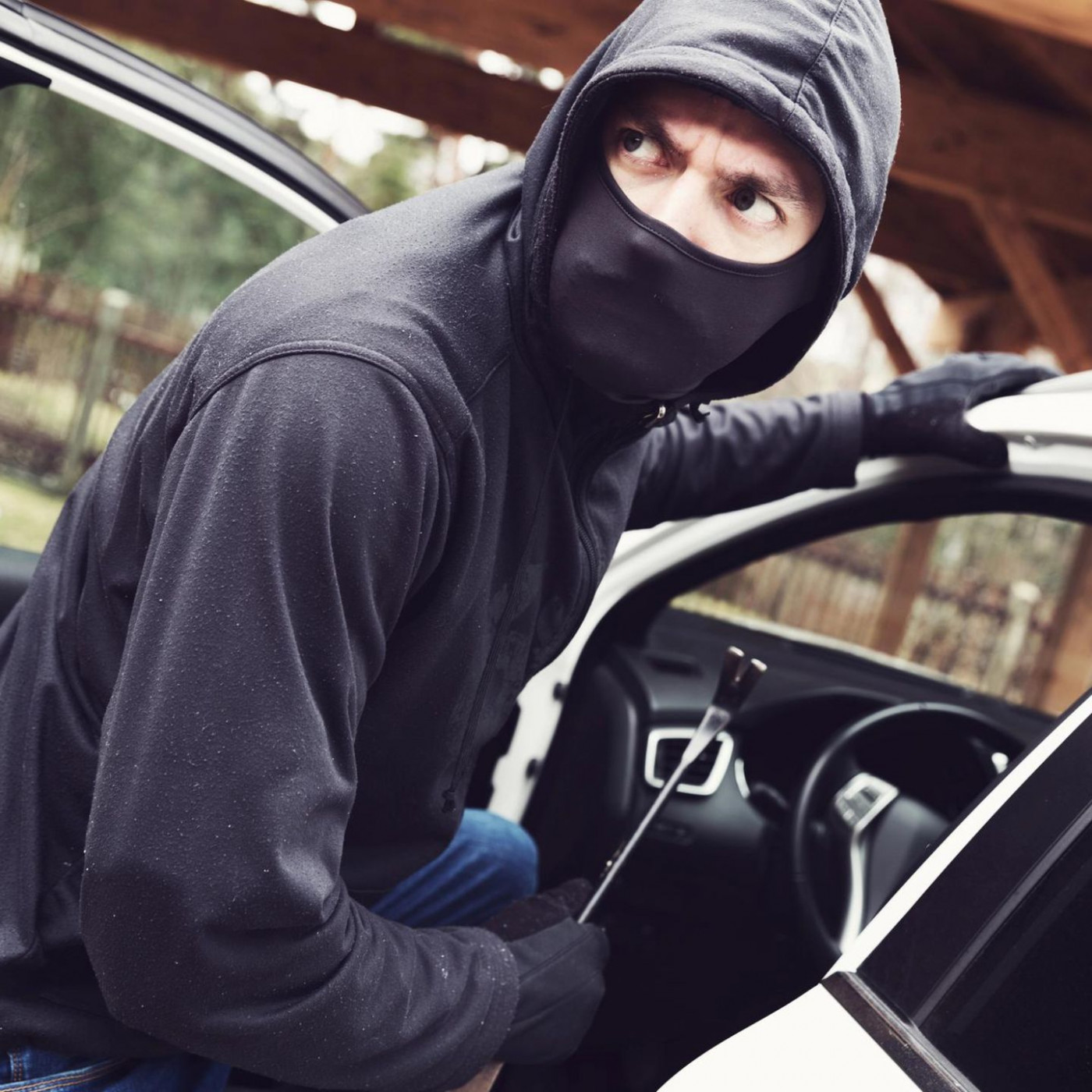 Russland pr&uuml;ft Zulassung von in &bdquo;unfreundlichen L&auml;ndern&ldquo; gestohlenen Autos