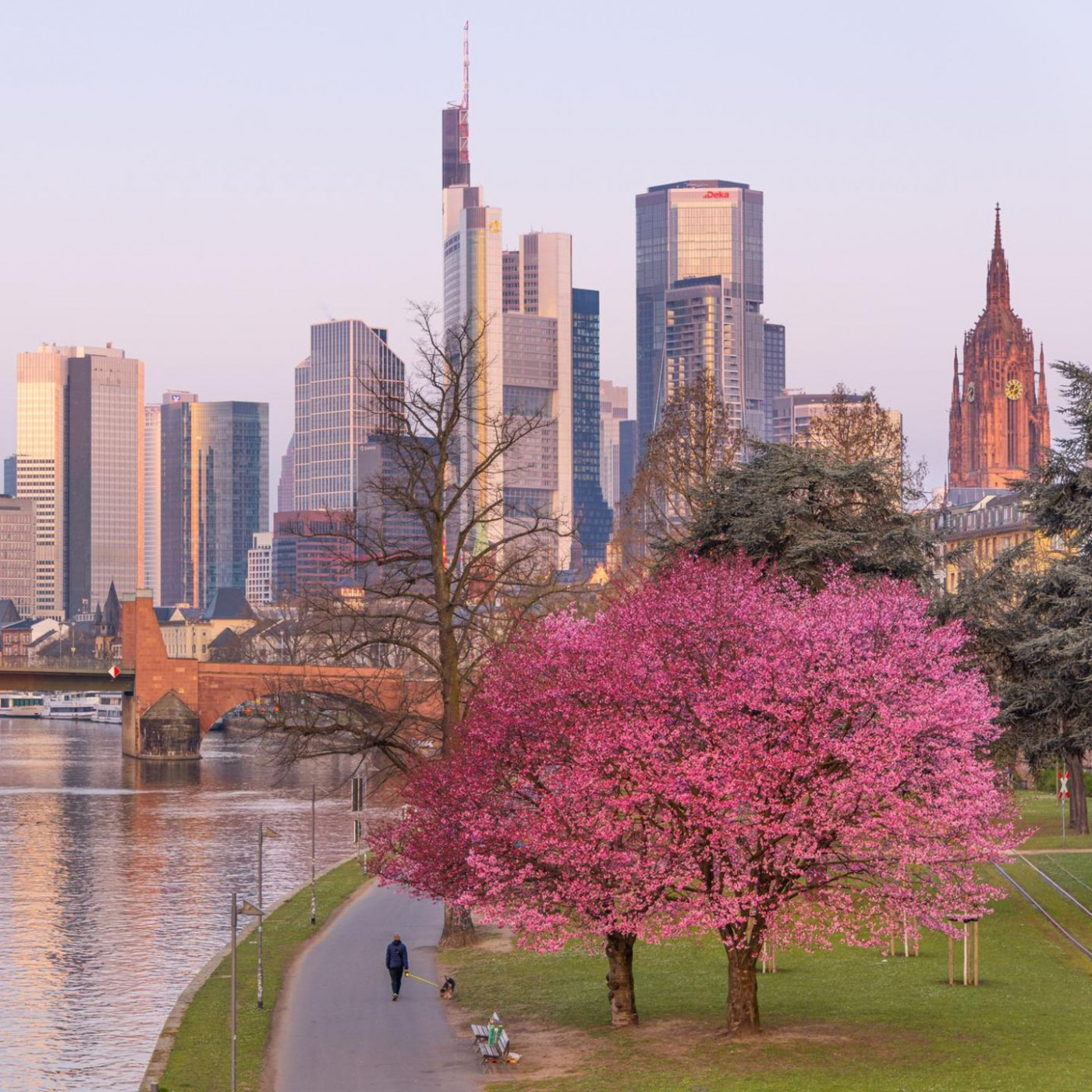 Investment-Experte erkl&auml;rt, wie man von der neuen Weltordnung profitiert