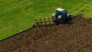 Steigende D&uuml;ngerpreise: Warum G&uuml;lle keine einfache Alternative ist