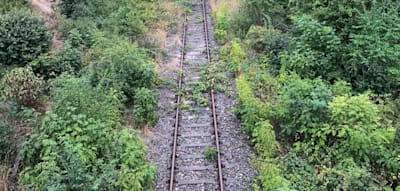 Kosten f&uuml;r Unkrautvernichtung bei der Bahn nach Glyphosat-Aus drastisch gestiegen