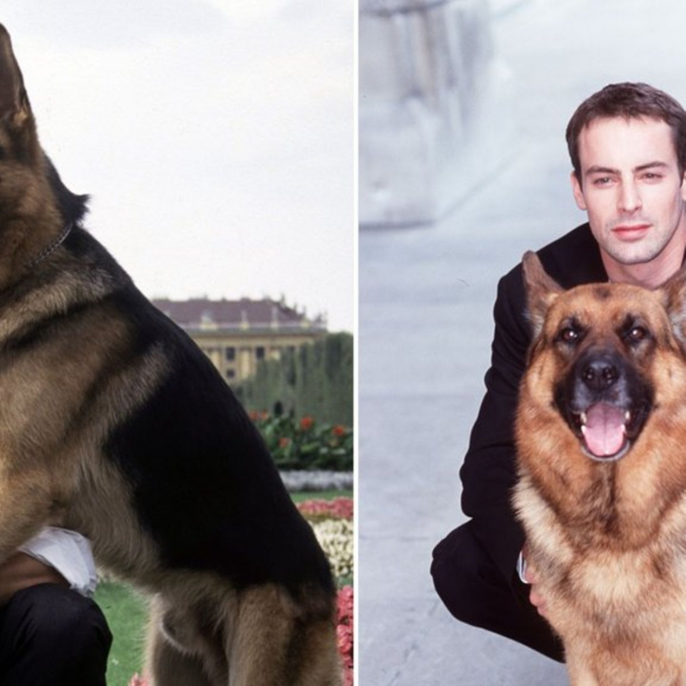 Das wurde aus den alten &bdquo;Kommissar Rex&ldquo;-Stars