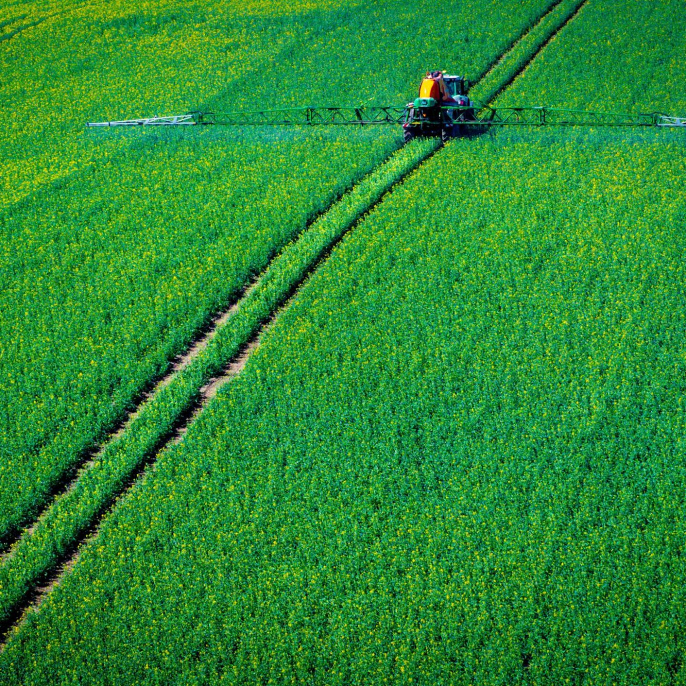 Pflanzenschutz-Infos zu b&uuml;rokratisch? EU-Kommissar zu Regeln