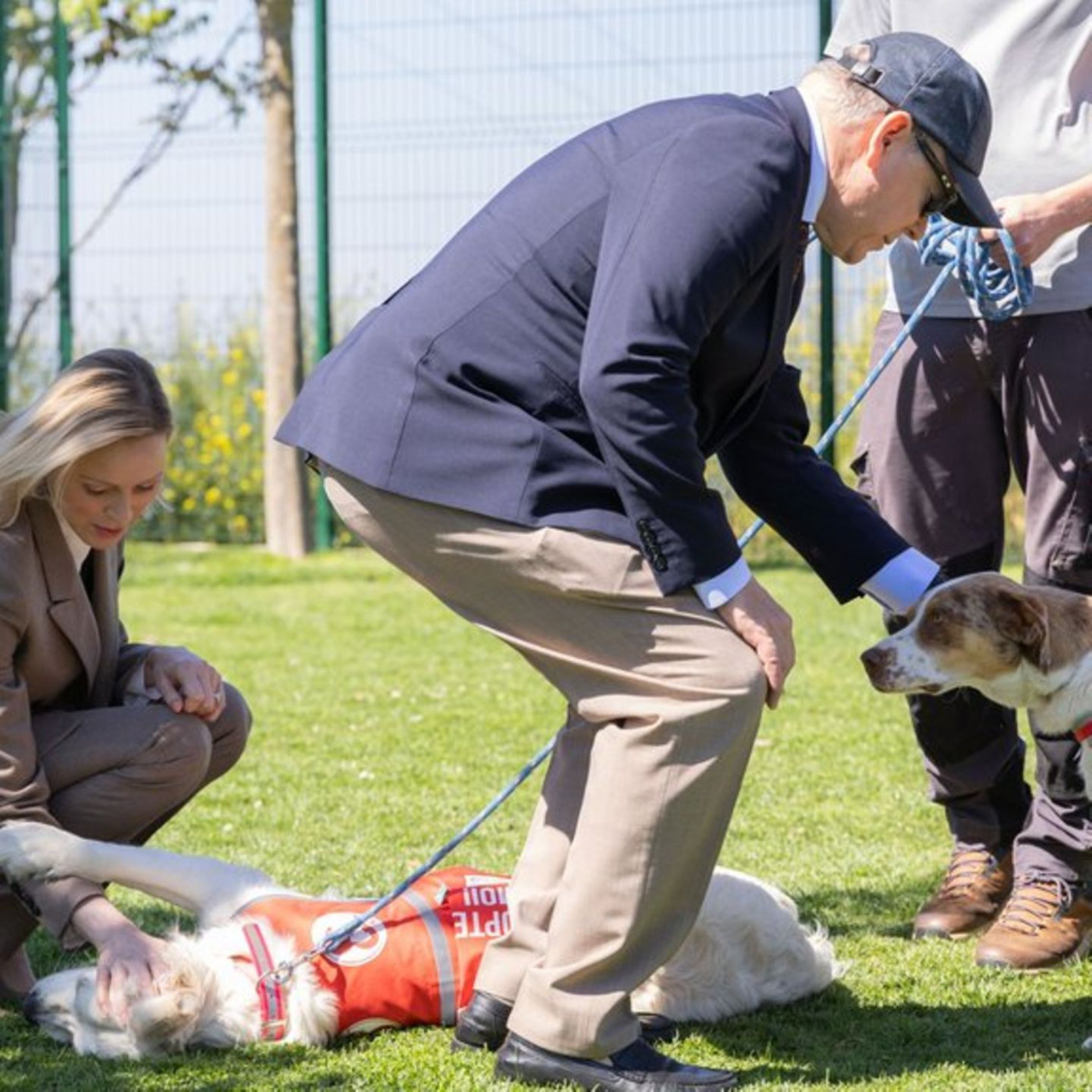 Auf Kuschelkurs im Tierheim