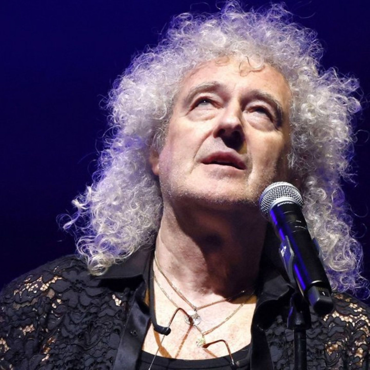 Brian May darf keine Narzissen pflanzen