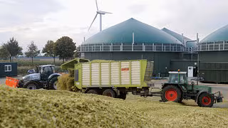 Mehr Mais f&uuml;r mehr Biogas