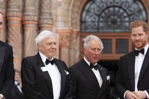 Prinz Harry ehrt David Attenborough mit pers&ouml;nlichen Worten