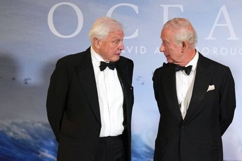 Royals und Promis gratulieren zum Geburtstag